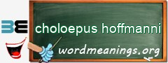 WordMeaning blackboard for choloepus hoffmanni